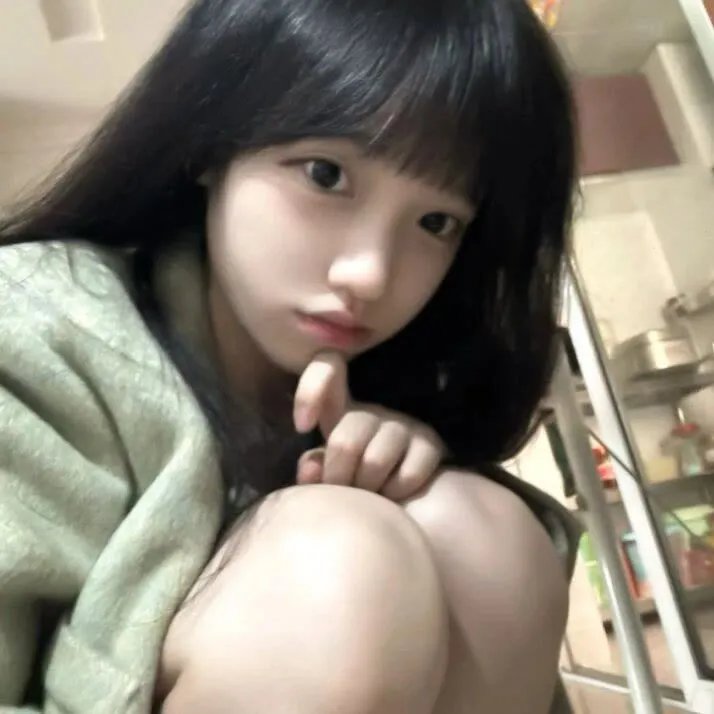 雪宝的佳节冒险